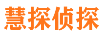 芦山市侦探调查公司